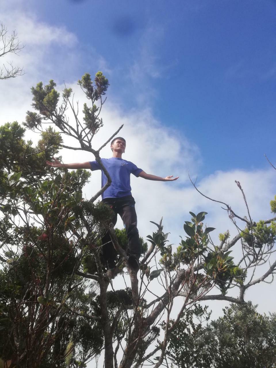 Strawberry Rest House Mesilou Kundasang Bagian luar foto